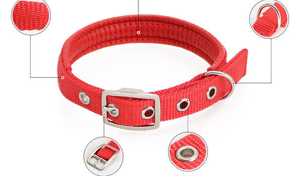 Текстилна каишка или повод за куче