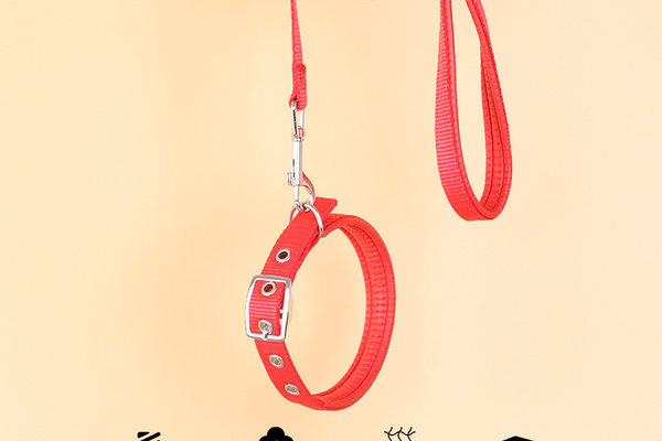 Текстилна каишка или повод за куче