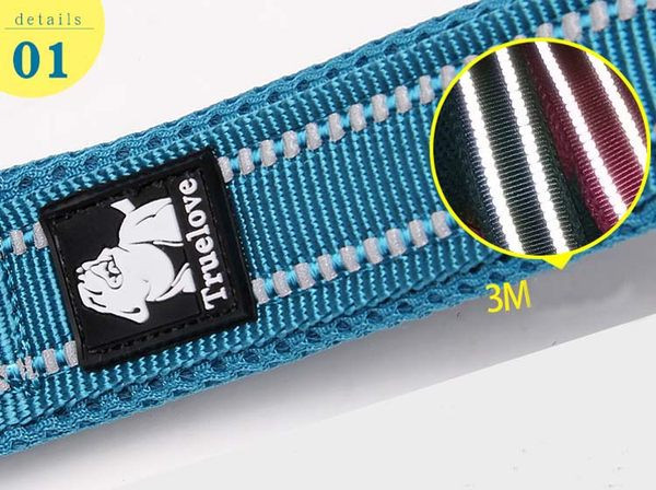 Ocazie colorată pentru animalele de companie