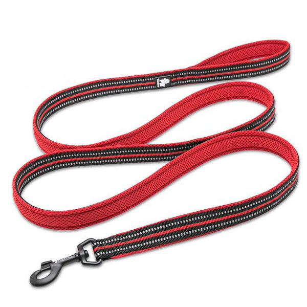 Ocazie colorată pentru animalele de companie