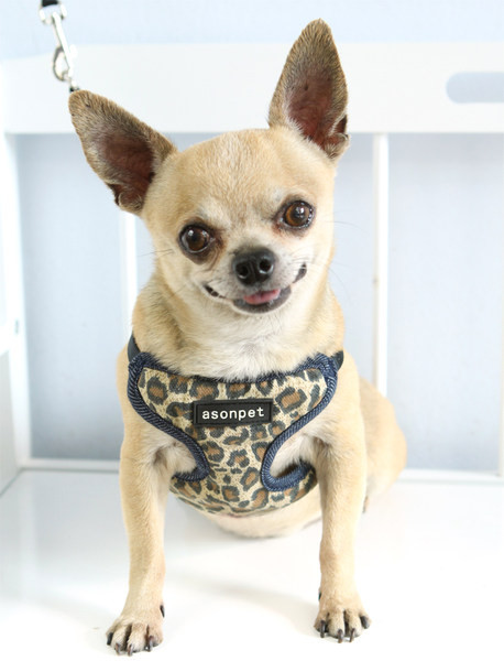 Нагръдник от текстил за кучета с каишка