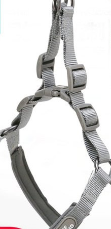 Guler de caine cu inchizator metalic