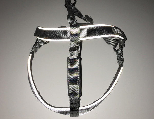 Guler de caine cu inchizator metalic