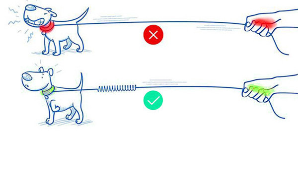 Кучешка каишка с пластмасово закопчаване