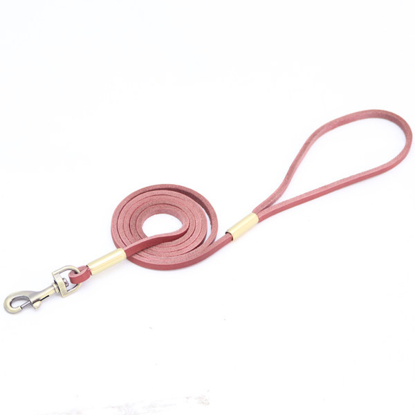 Повод за кучета няколко цвята с метално закопчаване 