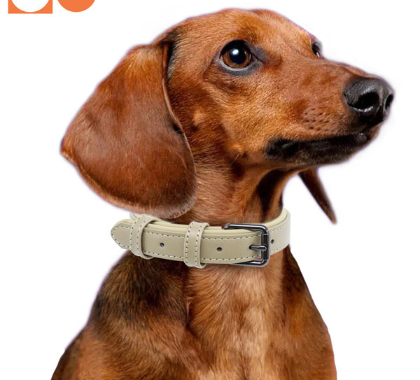 Кучешка кожена каишка - два цвята