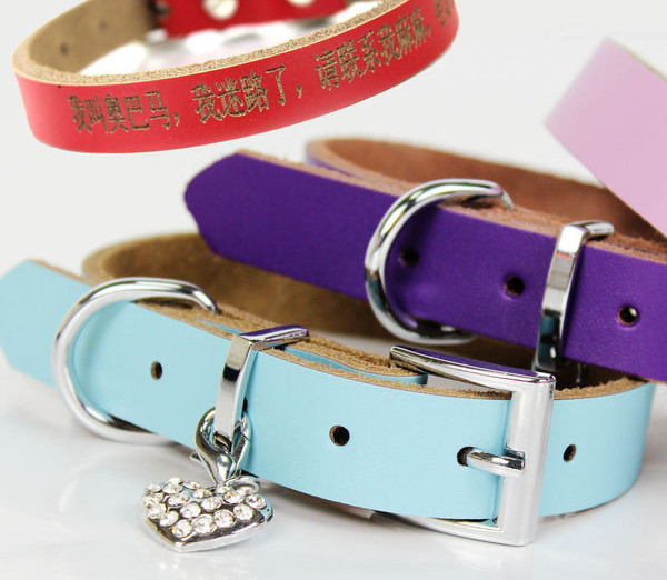 Guler de caine din piele cu pandantiv - mai multe culori