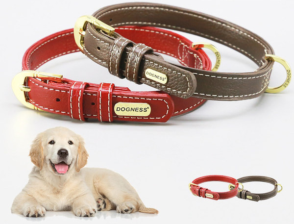 Lesa de caine din piele cu catarama aurie