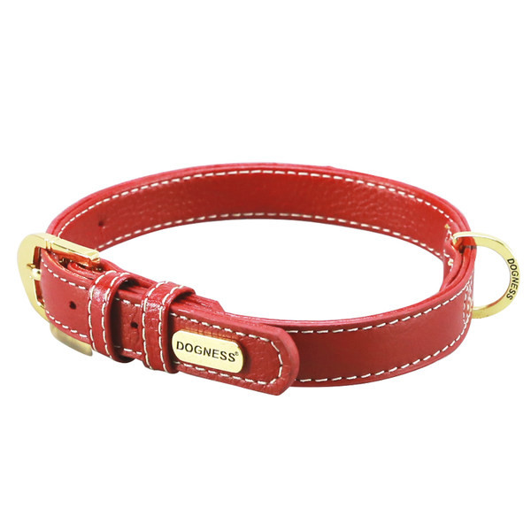 Lesa de caine din piele cu catarama aurie