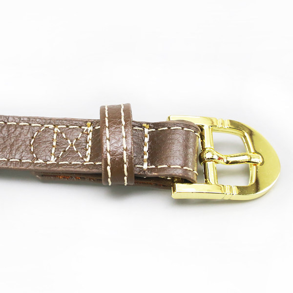 Lesa de caine din piele cu catarama aurie