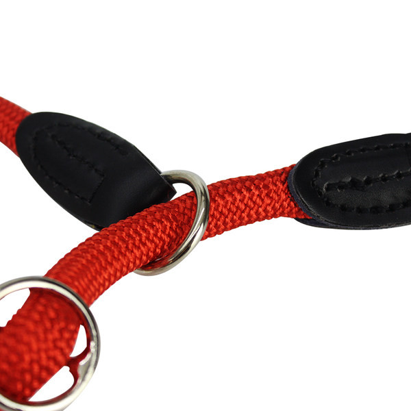 Guler pentru animale de companie mai multe culori