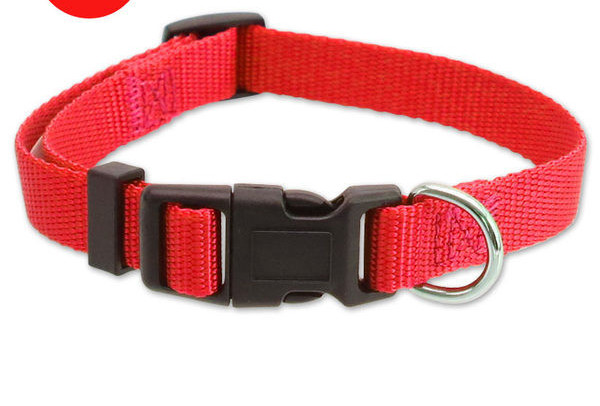 Guler textil pentru caini - mai multe culori