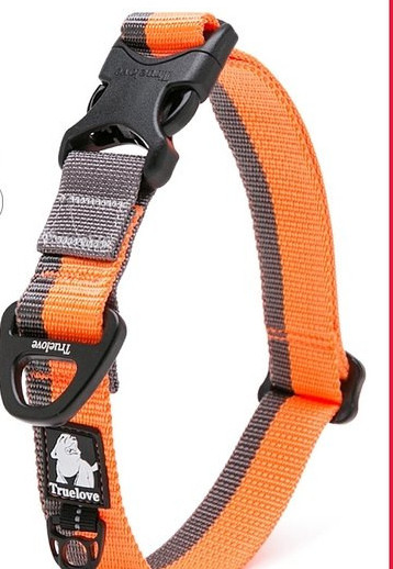 Guler pentru câini cu cataramă din plastic