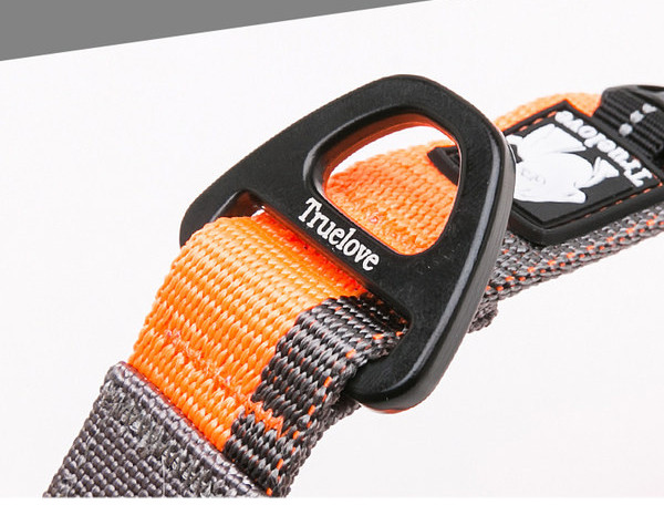 Guler pentru câini cu cataramă din plastic