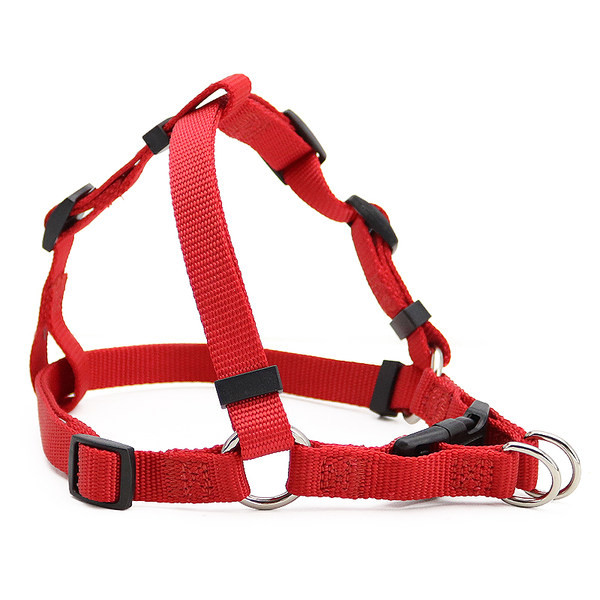 Funie pentru caini - mai multe culori