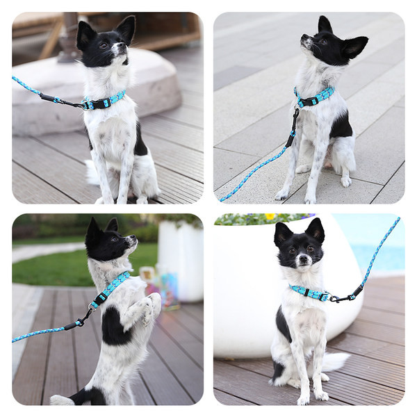 Guler reglabil pentru animale de companie