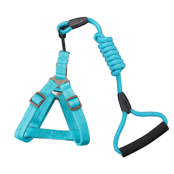 Frânghie de tracțiune pentru câini cățeluși mari, mijlocii și mici frânghie de plimbare lanț de câine guler pentru pisici Teddy golden retriever consumabile pentru animale de companie