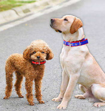 Υφασμάτινο γιακά σκύλου με μεταλλικό κούμπωμα