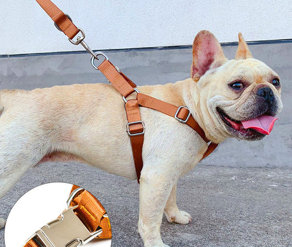 Текстилна каишка за домашни любимци