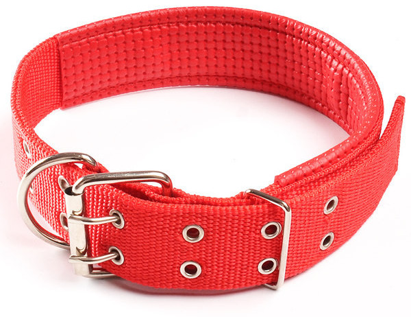 Guler de caine cu catarama dubla