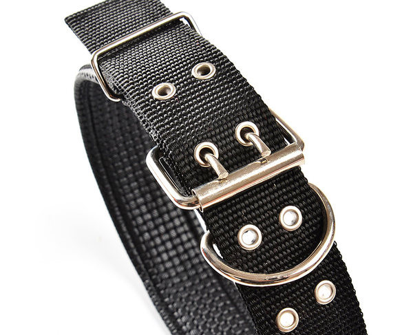 Guler de caine cu catarama dubla