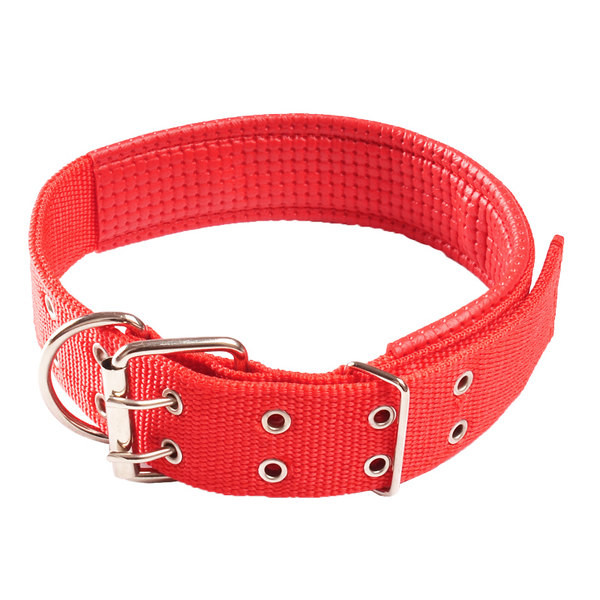 Guler de caine cu catarama dubla