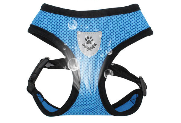 Bavete de plasa pentru caini