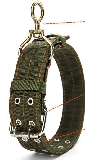 Guler de caine cu catarama metalica