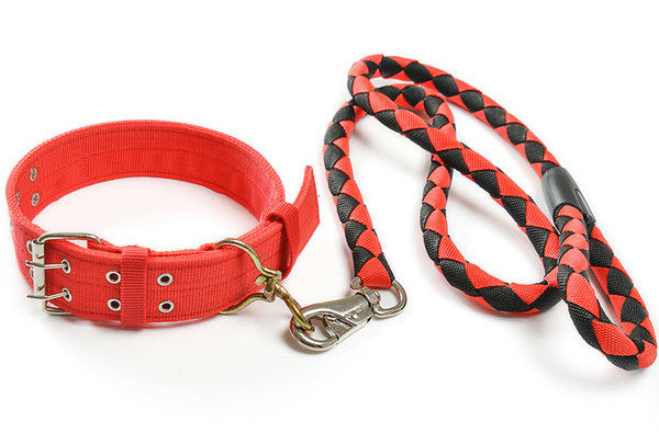 Guler din stofă cu lesă din piele pentru câini