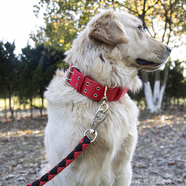 Guler din stofă cu lesă din piele pentru câini