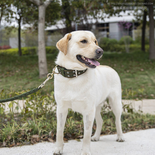 Guler din stofă cu lesă din piele pentru câini