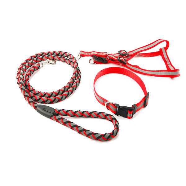 O ocazie pentru câini