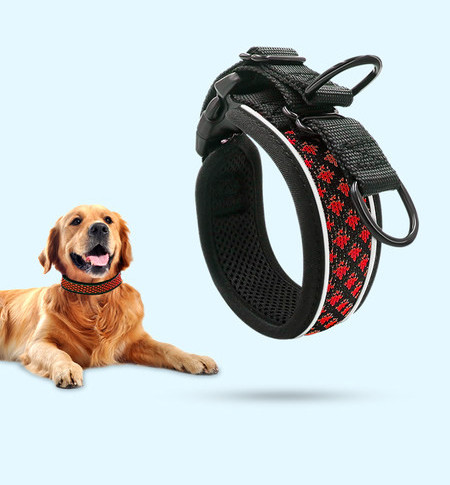 Guler sau lesă pentru câini - mai multe modele