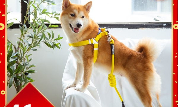 Bavete sau zgarda pentru câini cu închizător metalic