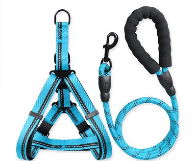 Bavete si lesa pentru caini de mai multe culori