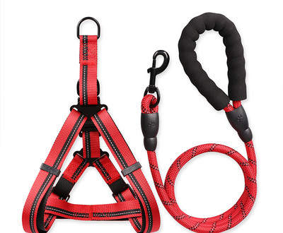 Bavete si lesa pentru caini de mai multe culori