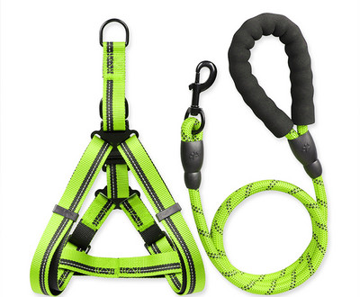 Bavete si lesa pentru caini de mai multe culori