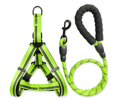 Bavete si lesa pentru caini de mai multe culori