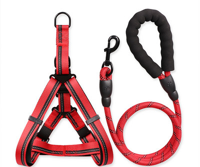 Bavete si lesa pentru caini de mai multe culori