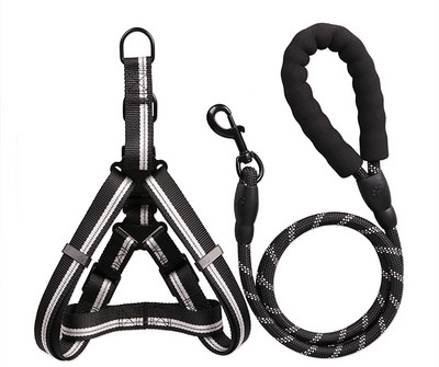 Bavete si lesa pentru caini de mai multe culori