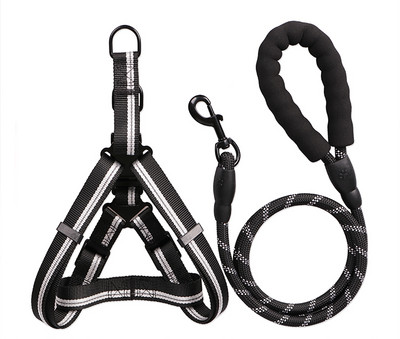 Bavete si lesa pentru caini de mai multe culori