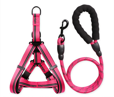 Bavete si lesa pentru caini de mai multe culori