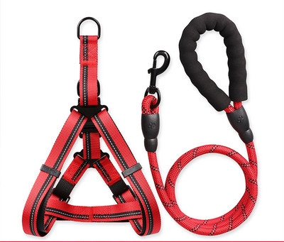 Bavete si lesa pentru caini de mai multe culori