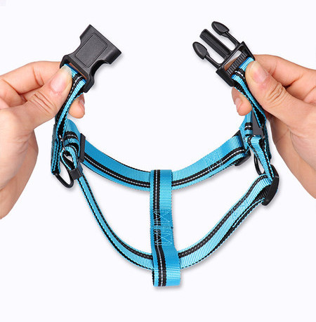 Bavete si lesa pentru caini de mai multe culori