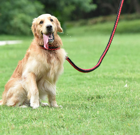 Guler cu lanț metalic și plumb textil