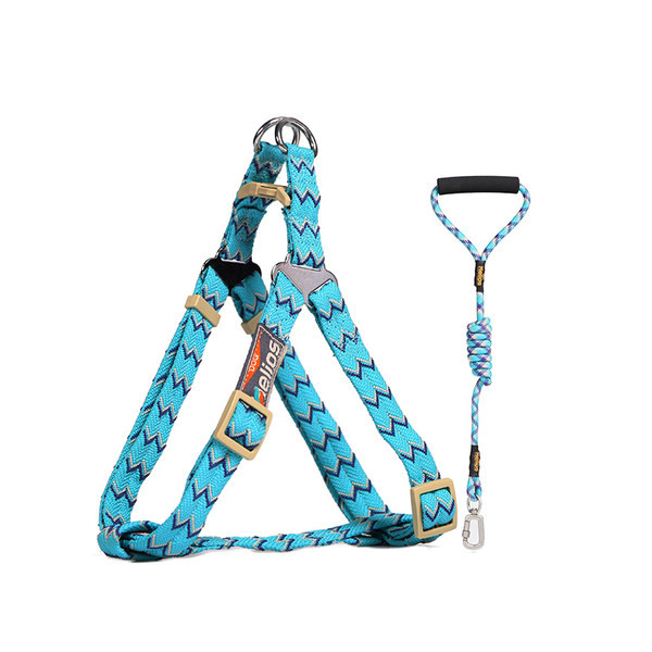 Lesa de caine colorata cu guler sau baveta