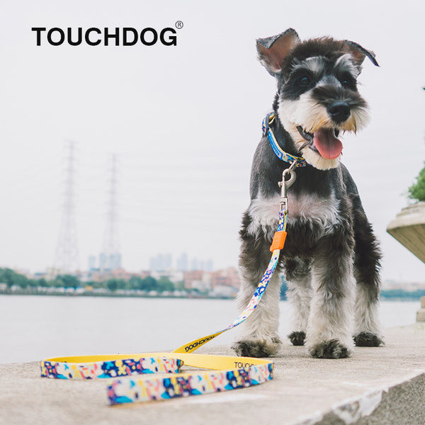 Pieptar sau guler cu lesă de câine