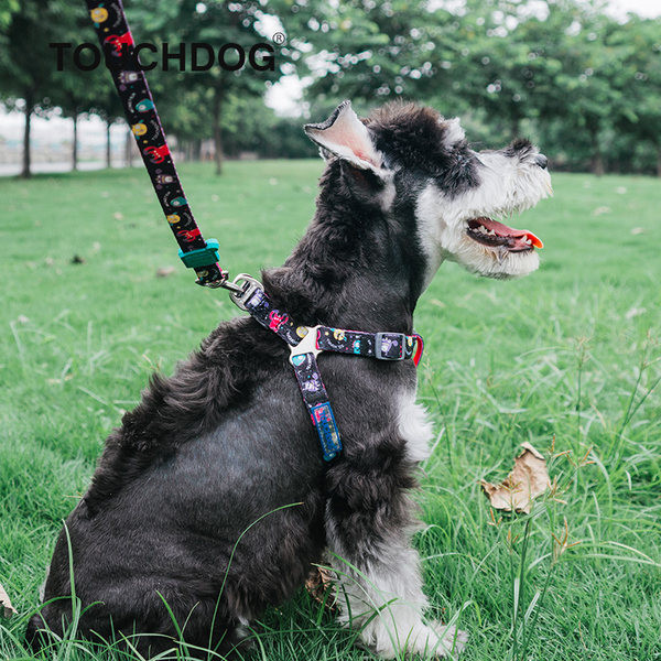 Pieptar sau guler cu lesă de câine