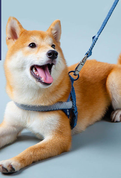 Bavete si zgarda cu lesa pentru caini din material textil