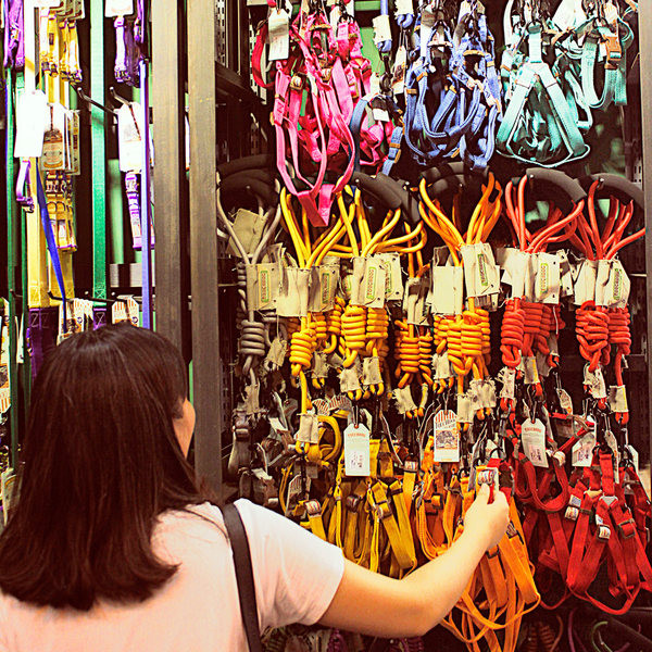 Lesa textila pentru caini